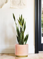 Gepege Pink Indoor Plant Pots for Plants, Large Ceramic Planter with Drainage Hole, 9.6-inch Succulent Orchid Flower Pot - Rainbow Pearl Glaze