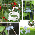 OJYUDD 300 PCS Plant Support Garden Clips,Tomato Vine Clips,Durable Crop Clips in White for Flower Vine Twine Tomato Orchid to Grow Upright and Healthier
