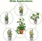 Indoor Trellis for Climbing Plants: 3PC Small Garden Metal Trellis for Vine Ivy Hoya Houseplants Flower Potted Plant Outdoor
