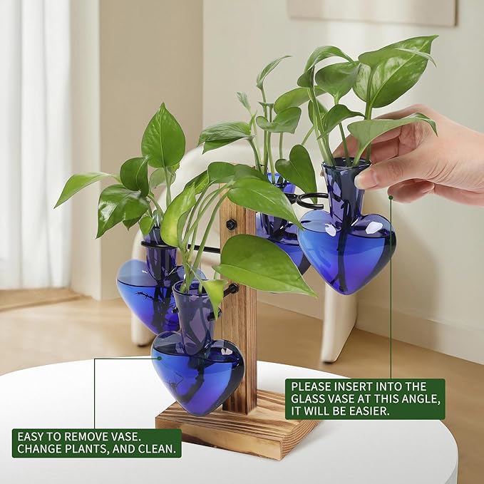 Terrarium Propagation Station, Heart Glass Vase with Wood Stand, Deep Blue