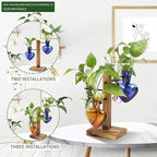 Terrarium Plant Propagation Station, Heart Glass with 4 Hangers