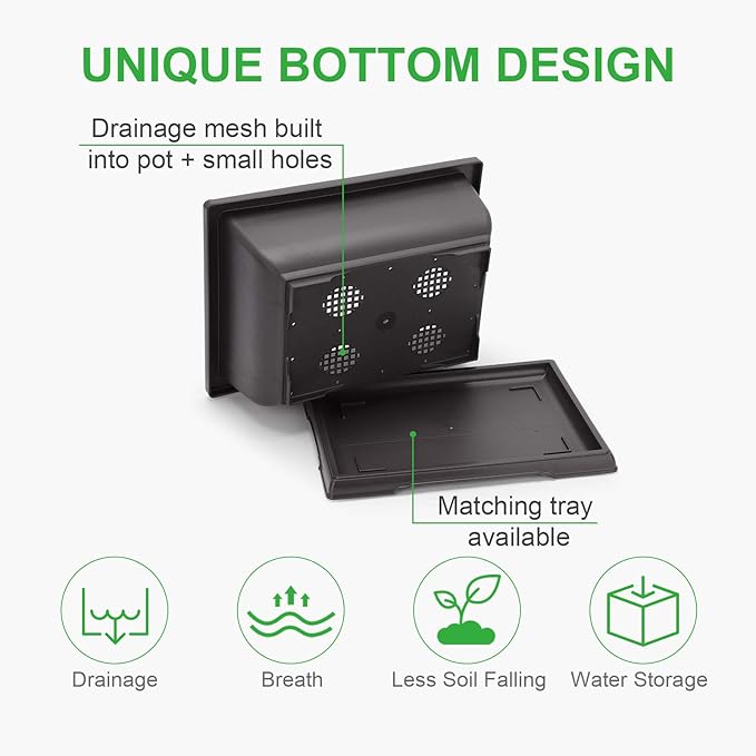 Planter Pots, 3-Pack Black Plastic 11 Inch Bonsai Training Pots with Drainage Tray