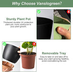 Planters for Indoor Plants 3 Pack, 10/9/8 Inch Self Watering Flower Pots with Drainage Hole, Plastic Large Plant Pots (Black)