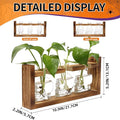 Terrarium Propagation Station, 3 Clear Skull Glass Vases with Wood Stand
