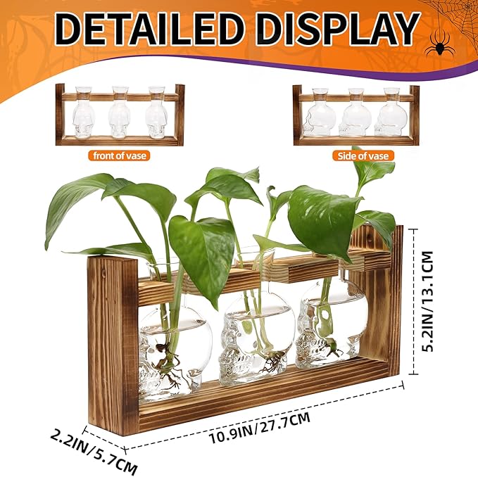 Terrarium Propagation Station, 3 Clear Skull Glass Vases with Wood Stand