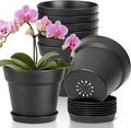 T4U 6 Inch Plant Pot 8-Pack, Plastic Planter with Drainage Hole and Saucer, Decorative Nursery Pots Bulk for African Violet, Snake Plant, Succulent, Herb and Plants Indoor (8 Pcs 6" Pots, Black)