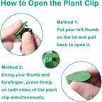 Plant Climbing Wall Fixture Clips, 80Pcs Self-Adhesive Wall Clips Fixer Hooks for Vines, Traction Support Holder, Invisible Leaf Clips for Wall Climbing Plants Indoor Outdoor Decor