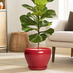 Ceramic Planter for Indoor Plants 8 Inch - Ceramic Plant Pot with Drainage Hole and Saucer, Glaze Round Decorative Modern Flower Pot, Housewarming Gift, Home Room Office Decor, Red