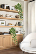 Artificial Peperomia Hanging Plants, 2 Pack, 26-Inch PVC Faux Greenery
