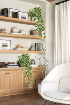 Artificial Peperomia Hanging Plants, 2 Pack, 26-Inch PVC Faux Greenery