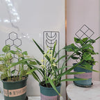Metal Trellis for Climbing Plants Indoor, 16.36 inch Small Trellis for Potted Plants Geometric Shape Lattice for Ivy Vines Hoya Houseplants Flower 2 Pack