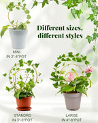 Unique Round Hoya Trellis, 3 Pcs Different Small Houseplant Trellis for Indoor Climbing Plant, Garden Trellis Plant Support for Potted Ivy and Flowers Outdoor(Gold)