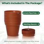 T4U 6 Inch Plant Pot 8-Pack, Plastic Planter with Drainage Hole and Saucer, Decorative Nursery Pots Bulk for African Violet, Snake Plant, Succulent, Herb and Plants Indoor (8 Pcs 6" Pots)