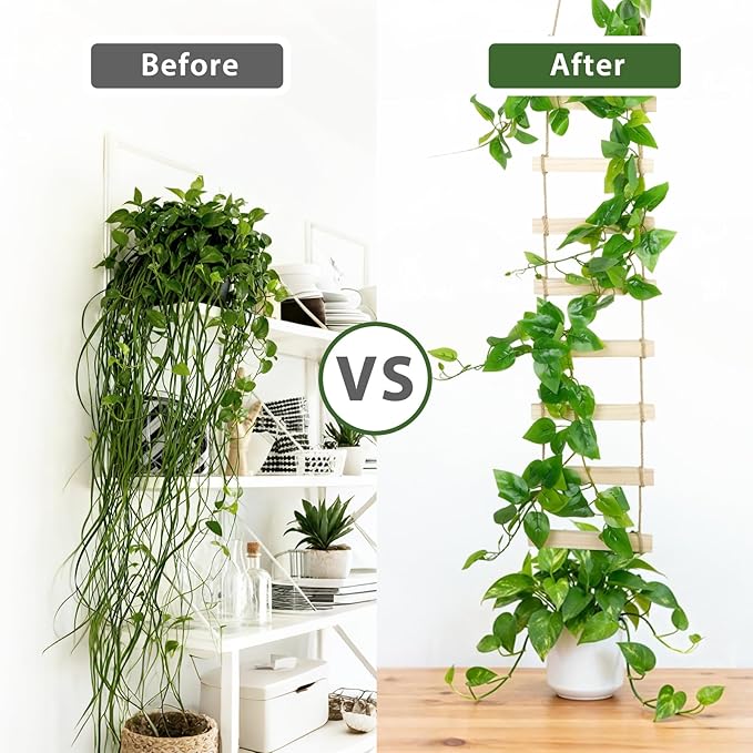 Wooden Ladder Plant Trellis for Climbing Plants – 6ft Extra Tall Indoor & Outdoor Wooden Trellis Garden Plant Support, Easy to Install for Vines, Ivy, Pothos, Monstera, Potted Plants
