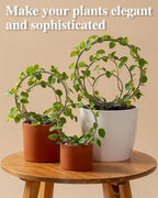 3 Pcs Different Sizes Metal Hoya Trellis, Small Round Indoor Plant Trellis for Potted Plants Climbing, Black Unique Houseplant Trellis for Vine Ivy Flower Plant Support
