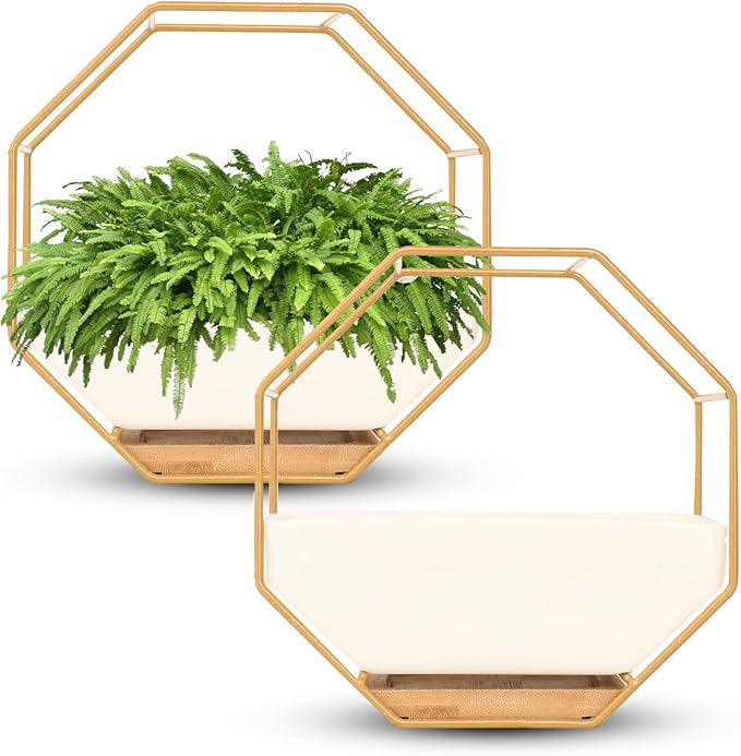 IRYL Wall Planter for Indoor Plants - Ceramic Wall Hanging Planter Set with Bamboo Tray & Hooks - Decorative Wall Plant Holder - Modern Wall Planters for Vertical Garden Home Decor - Golden