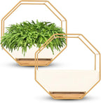 IRYL Wall Planter for Indoor Plants - Ceramic Wall Hanging Planter Set with Bamboo Tray & Hooks - Decorative Wall Plant Holder - Modern Wall Planters for Vertical Garden Home Decor - Golden