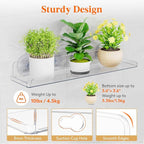 Lifewit Window Plant Floating Shelves 14.6x3.6, 4 Pack Acrylic Suction Cup Shelf, Window Sill Extender for Indoor Succulent Plants, Micro Greens, Seed Starter Pots, Herb Planters 37 x 9 cm/14.6x3.6