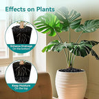 30 lbs Black Rocks for Planters, 1"-2" Decorative Rocks for Potted Plants, Polished Garden Stones for Outdoor Landscaping, Walkways, Yard, River Rocks for Flower Pots, Vase