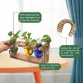Terrarium Set with 3 Heart Shaped Glass Vases and Wood Stand