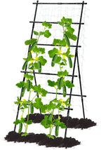 Lalahoni Cucumber Trellis, 6ft Tall Metal Garden Trellis for Climbing Plants Outdoor A-Frame Vine Plant Support for Vegetable Fruit Tomato Peas Beans Cucumber Trellis for Raised Bed