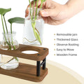 Terrarium Propagation Station, Brown Wood Stand with 3 Glass Jars