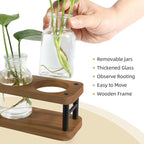 Terrarium Propagation Station, Brown Wood Stand with 3 Glass Jars