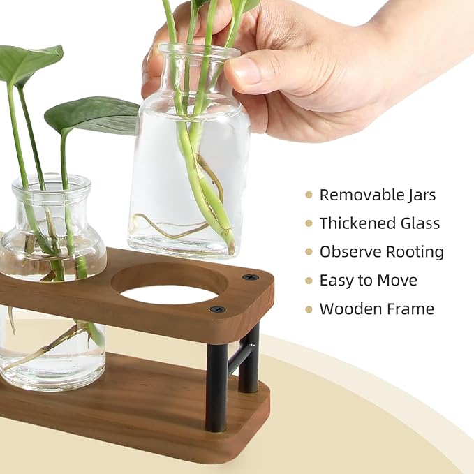 Terrarium Propagation Station, Brown Wood Stand with 3 Glass Jars