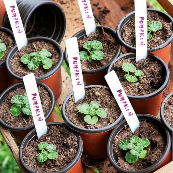 Plant Nursery Pot/Pots 200 Pcs 4" Plastic Small Plants Pots Flower Pots Seed Starting Pots for Plants Indoor Outdoor Seeding pots (with 200 Plant Labels)