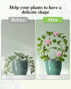 3 Pcs Different Sizes Metal Hoya Trellis, Small Round Indoor Plant Trellis for Potted Plants Climbing, Black Unique Houseplant Trellis for Vine Ivy Flower Plant Support