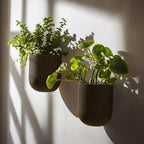 LA JOLIE MUSE Wall Hanging Planters for Indoor Plants, Hanging Flower Pots for Air Plants Succulent, Set of 2, 5.7L*4.1W*7H, Iron Rust