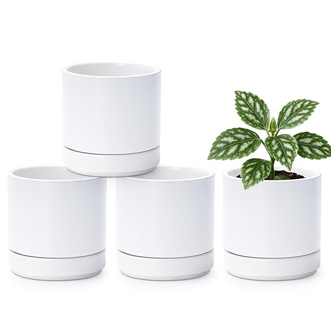 Planters: Set of 4 White Round Ceramic Pots with Saucers