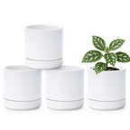 Planters: Set of 4 White Round Ceramic Pots with Saucers