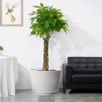 12inch Large Plant Pot, Modern Plastic Planter with High Driange Holes and Saucer for Indoor Outdoor Garden Plants and Flowers, White Speckles