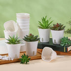 30 Pcs 3 Inch Self Watering Pots Self Watering Planters for Indoor Planters Plastic Garden Flower Pots with Level Indicator Vents for Herbs