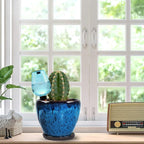 Ceramic Pots for Plant with Self Watering Globes, 6 inch Planters for Indoor Plants with Saucer, Glaze Flower Pots Outdoor with Drainage Holes, Decorative Garden Pots