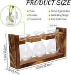 Terrarium Set of 3 Borosilicate Glass Bulbs with Wooden Stand