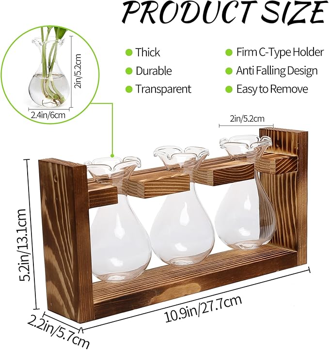 Terrarium Set of 3 Borosilicate Glass Bulbs with Wooden Stand