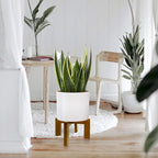 2 Pack Plant Stand Indoor Outdoor, Mid Century Plant Stand for Indoor Plants, Wood Modern Plant Holder Rattan Flower Plant stool, Low Short Boho Rustic Planter Stand, Fit 5-15 Inch Pot