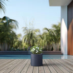 Kante 9.8" Dia Round Concrete Planter, Modern Style Large Cylindrical Plant Pot with Drainage Hole and Rubber Plug for Indoor Outdoor Patio, Charcoal