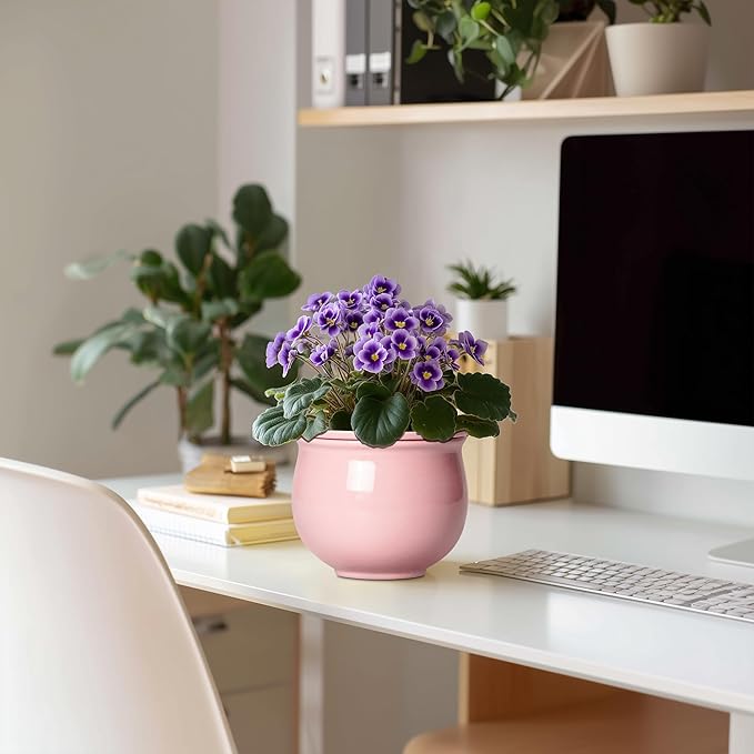 African Violet Pots, 6 Inch Ceramic Easy Self Watering Pots with Absorbent Inner Pot, Round Ceramic Planter for Indoor Plants, Small Flower Pot, Home Decor, Gifts for Plant Lovers, Pink