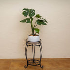 FaithLand 2 Pack Plant Stands, Heavy Duty Metal Planter Holder Indoor Outdoor, 2 Tier Round Potted Supports Rack, Corner Display Shelf Black