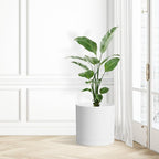 12 Inch Large Deep Flower Pots for Outdoor Indoor Plants, Cylinder Tall Plant Pots with Drainage Holes and Saucer, Big Decorative Plastic Planter Pots for Garden House Plants, White