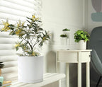 Planter Pots, Set of 2 Matte White Plastic Modern Planters with Saucers