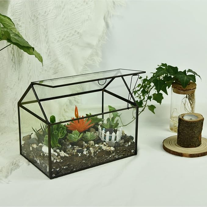 Terrarium Black House-Shaped Glass Planter with Swing Lid, Large