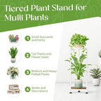 iDavosic.ly 2 Tier Corner Plant Stand Indoor, 30 Inch Tall Vertical Metal Flower Heavy Duty Pot Holder Shelf Outdoor for Patio Porch Living Room, White & Rustic Brown - Round