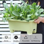 Self-Watering Rectangle Planter Boxes 8-Pack, 15.7-Inch Window Box Planter with Drainage Holes & Trays, Pots for Vegetables, Herbs, Flowers, Garden Windowsill Balcony (Light Green)