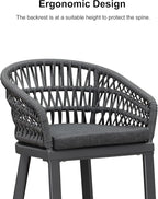 PURPLE LEAF Outdoor Rattan 29" Bar Stools Set of 2, Modern Boho Aluminum Patio Bar Height Chair with Cushion and Back for Outdoor and Indoor, Grey