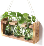 Terrarium Skull Propagation Stations, 3 Green Glass Vases with Wood Stand