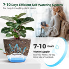 T4U 4 Pack 6 Inch Self Watering Pots - Water Level Indicator & Deep Reservoir, Mess-Free Planter for Busy People, Beginners & Gardeners, Fit Herbs/Pothos/Succulents Plants, Indoor Outdoor Use (White)